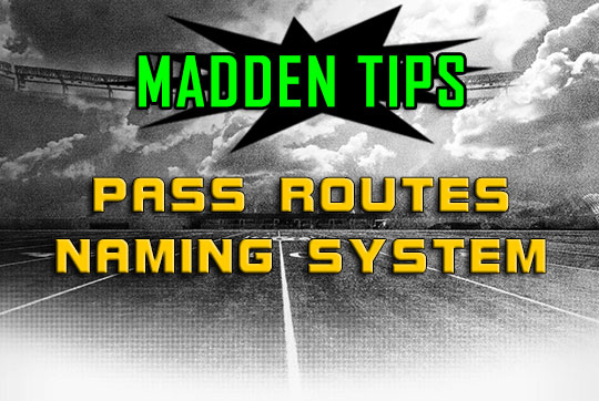 madden pass routes naming system