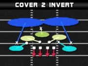madden plays 46 normal cover 2 invert