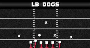 madden plays man blitz double edge 46 bear lb dogs flip def play diagram