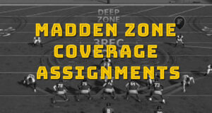 madden zone coverage assignments