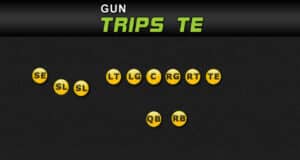 gun trips te